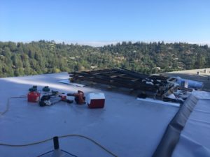 TPO roofing in Kentfield